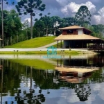 Chácara / sítio à venda na Irene Oliveia, 1300, Engenho Velho, Campina Grande do Sul