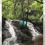 Chácara / sítio à venda na Estrada São João do Povinho, 01, Três Córregos, Campo Largo