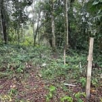 Terreno para formar chacara em Itanhaem