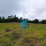 Chácara à venda, 20148 m² por R$ 700.000,00 - Felpudo - Campo Largo/PR