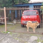 Casa com 1 quarto à venda na Rua Fernando Pessoa, 21, Estância Velha, Canoas