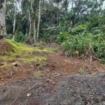 Chácara para Venda em Guaramirim / SC no bairro Amizade