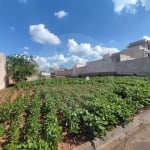 Terreno para Venda em Fazenda Rio Grande, Eucaliptos