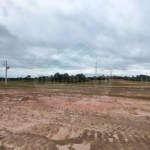 Terreno para Venda em Fazenda Rio Grande, Gralha Azul