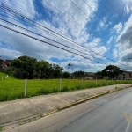 Terreno à venda na Rua Ottokar Doerffel, 1337, Anita Garibaldi, Joinville