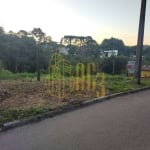 Lote / Terreno em Cascatinha  -  Curitiba