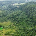 Chácara / sítio com 4 quartos à venda na Estrada Encruzilhada do Maratá, s/n, Esperança, Maratá