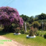 Chácara / sítio com 3 quartos à venda na Estrada da Mata Virgem, 504, Conceição, São Sebastião do Caí