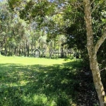 Terreno comercial à venda na Leonildo Peirão, 3, Grama, Garopaba