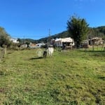 Terreno à venda na Ana Tereza Ribeiro, 441, Ambrósio, Garopaba