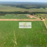 Fazenda com dupla aptidão à venda na região do município de Lagoa da Confusão - TO.