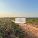 Fazenda à venda na região do município de Araguaina-TO