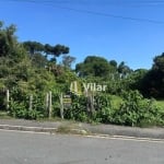 Terreno à venda, 510 m² por R$ 400.000 - Vila Juliana - Piraquara/PR