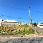 Terreno à venda, 450 m² por R$ 190.000 - Planta Deodoro - Piraquara/PR