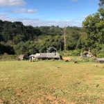 BelÍssima Área rural, Thomaz Coelho, Araucaria - PR