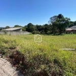 Terreno a venda no bairro campina da barra, Campina da Barra, Araucaria - PR