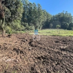 Terreno a venda em balneÁrio pratas/sÃo carlos-sc, Balneário Prata, Sao Carlos - SC