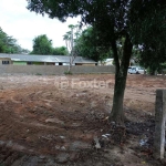 Terreno à venda na Estrada Otaviano José Pinto, 4043, Lami, Porto Alegre