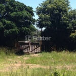 Terreno comercial à venda na Avenida Vicente Monteggia, 759, Cavalhada, Porto Alegre