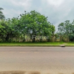 Terreno comercial à venda na Estrada Jorge Pereira Nunes, 373, Campo Novo, Porto Alegre