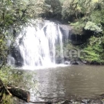 Terreno à venda na Avenida José Pedro Piva, 1000, Bosque Sinoserra, Canela