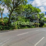 Terreno à venda na Avenida Pinheiro Borda, 267, Cristal, Porto Alegre