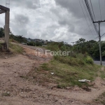 Terreno comercial à venda na Avenida Professor Oscar Pereira, 6622, Cascata, Porto Alegre