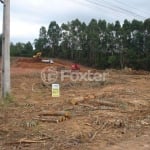 Terreno comercial à venda na Rodovia BR-386, 02, Centro, Nova Santa Rita