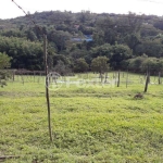 Terreno comercial à venda na Avenida Belém Velho, 3580, Vila Nova, Porto Alegre