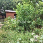 Terreno comercial à venda na Rua Alberto Silva, 719, Vila Ipiranga, Porto Alegre