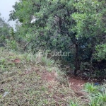 Terreno à venda na Avenida Altos do Santa Rita, 520, Aberta dos Morros, Porto Alegre