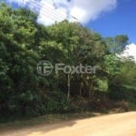 Terreno comercial à venda na Rua Goiás, 800, Lomba do Pinheiro, Porto Alegre