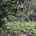 Terreno comercial à venda na Rua Doutor Mário Totta, 2210, Tristeza, Porto Alegre