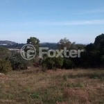 Terreno comercial à venda na Estrada das Três Meninas, 1134, Vila Nova, Porto Alegre