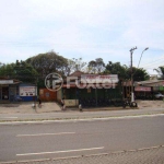 Terreno comercial à venda na Avenida Dorival Cândido Luz de Oliveira, 1755, COHAB C, Gravataí