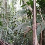 Terreno à venda na Parque Vila da Serra, 5, Vila da Serra, Osório