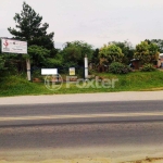 Terreno comercial à venda na Avenida Delegado Ely Corrêa Prado, 1340, Mário Quintana, Porto Alegre