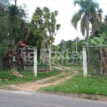 Terreno comercial à venda na Rua Orquídea, 474, Lomba do Pinheiro, Porto Alegre