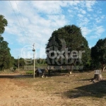 Terreno comercial à venda na Estrada Francisca de Oliveira Vieira, 2485, Belém Novo, Porto Alegre