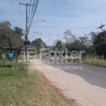 Terreno à venda na Avenida do Lami, 6979, Lami, Porto Alegre