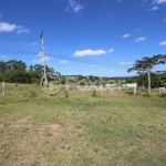 Terreno comercial à venda na Rodovia Coronel Acrísio Martins Prates, 895, Fiuza, Viamão