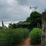 Terreno comercial à venda na Rua Abissínia, 145/155, Petrópolis, Novo Hamburgo