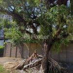 Terreno à venda na Rua dos Nautas, 123, Vila Ipiranga, Porto Alegre