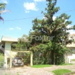 Casa com 4 quartos à venda na Rua Araponga, 291, Chácara das Pedras, Porto Alegre