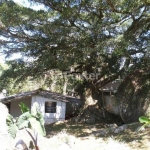 Casa com 3 quartos à venda na Estrada Costa Gama, 736, Belém Velho, Porto Alegre