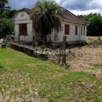 Terreno comercial à venda na Rua Demétrio Ribeiro, 113, Guarani, Novo Hamburgo