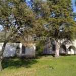 Fazenda com 1 sala à venda na Rua Sítio Paloma, 814, Lomba do Pinheiro, Viamão