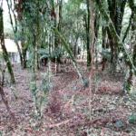 Terreno à venda na Rua Irmão Albino Bruneto, s/n, Parque Laje da Pedra, Canela