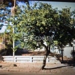 Terreno à venda na Avenida Otto Niemeyer, 3605, Cavalhada, Porto Alegre