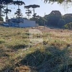 Terreno à venda na Rua Anastácia Gawleta Drobzenski, 270, Costeira, Araucária